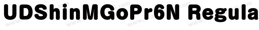 UDShinMGoPr6N Regular字体转换